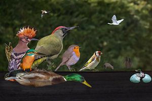 Le jardin des délices de la terre