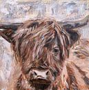 Portret van Schotse Hooglander, kleur van Mieke Daenen thumbnail
