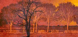 Landschaften_Landformen 1 von Mark Isarin | Fotografie