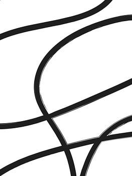 Schwarz & Weiße Linien Nr. 1