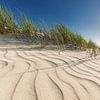summer dunes van Dirk Thoms