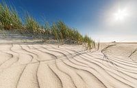 dunes d'été par Dirk Thoms Aperçu