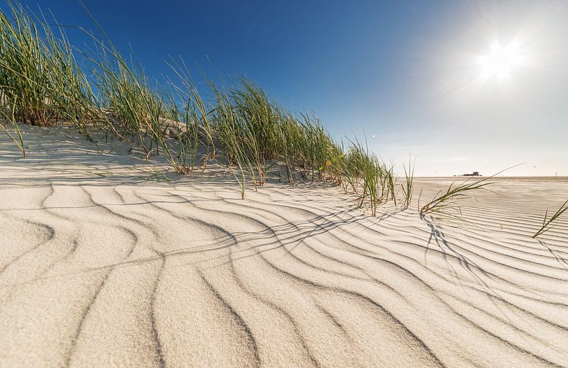 dunes d'été par Dirk Thoms