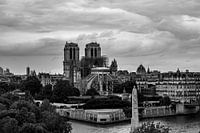 Paris - Notre Dame