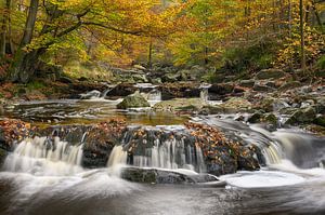 Herfstige Hoëgne – Fine Art-landschapsfotografie uit de Ardennen