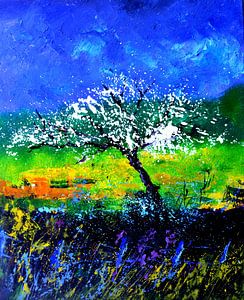 Appletree im Frühling