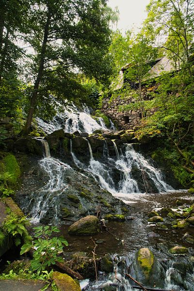 Kleine waterval in het bos met mos op stenen van Martin Köbsch