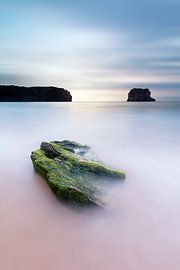 Gib mir Einsamkeit, gib mir Natur, gib mir wieder von Rodrigo Núñez Buj