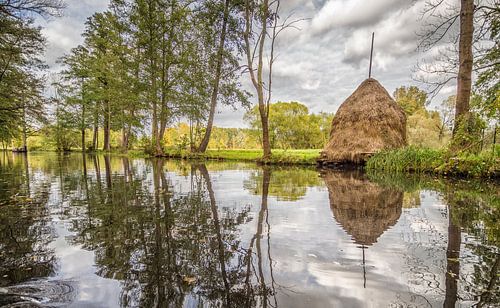 Landschap in het Spreewald aan de rivier