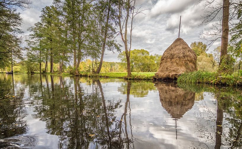 Landschap in het Spreewald aan de rivier van Jörg B. Schubert