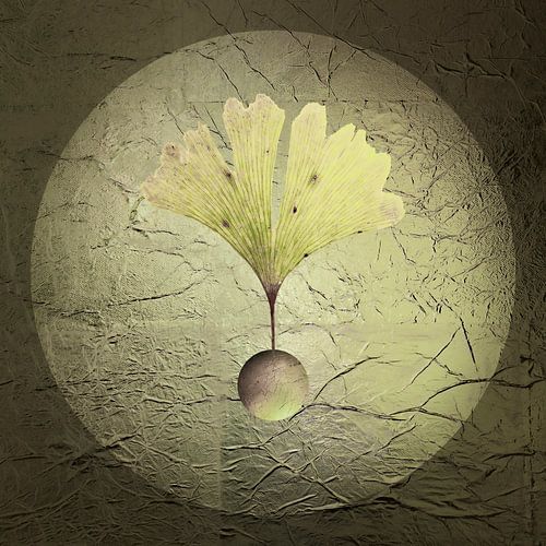 Graphic. Bright Ginkgo.