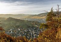 Moezeldroom in de herfst