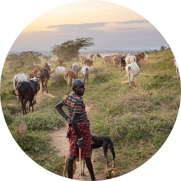 Karamoja koeherder en zijn vee in Oeganda, Afrika van Teun Janssen