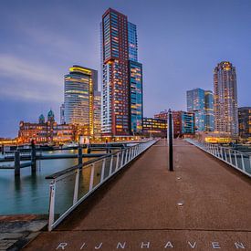 Pont du Rijnhaven sur Bram de Jong