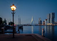Veerhaven, Rotterdam avec vue sur kop van zuid et Erasmusbrug, Rotterdam
