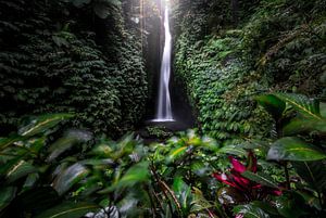 Wasserfall im Dschungel Bali Leke von Rudolfo Dalamicio