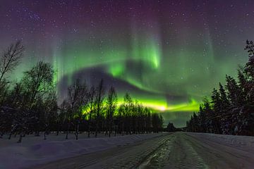 Noorderlicht boven Norrbotten - Als de hemel oplicht van Fototante