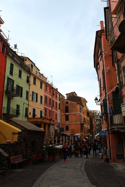 Mooie Gekleurde Huisjes in Manarola, Cinque Terre, Italië van Shania Lam