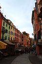 Mooie Gekleurde Huisjes in Manarola, Cinque Terre, Italië van Shania Lam thumbnail