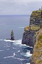 Cliff's of Moher - Ierland van Babetts Bildergalerie thumbnail