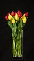 Tulpen in vaas, zwarte achtergrond,tulip,tulp