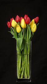 Tulpen in vaas, zwarte achtergrond,tulip,tulp by M  van den Hoven