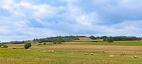 France Dordogne