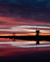 Kinderdijk (NL) toujours beau