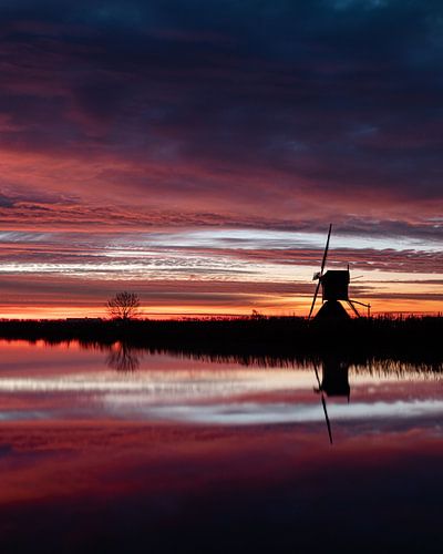 Kinderdijk op zijn mooist
