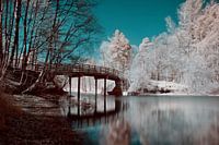 Infrared hiking forest