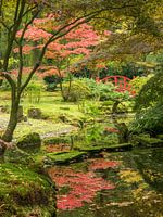 Japanese Garden of estate Clingendael