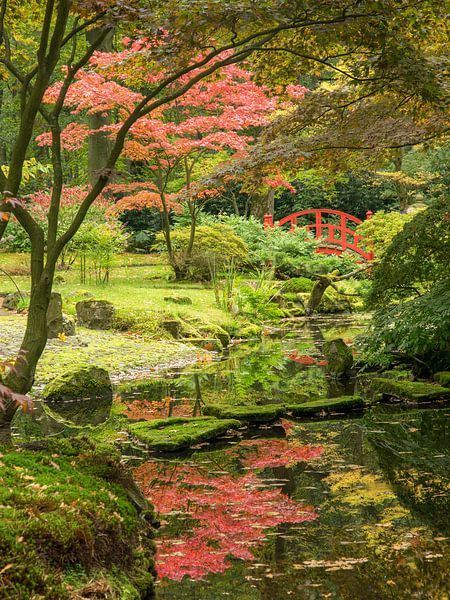 Jardin japonais du domaine Clingendael par Arina Keijzer