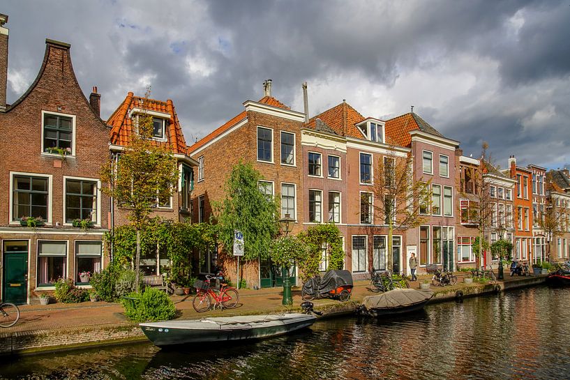 Old Rhine Leiden by Dirk van Egmond