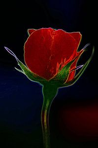 Sub Rosa