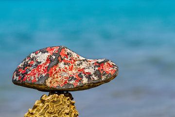 Natuurlijke rode steen aan de kust bij zee van Ben Schonewille
