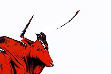 one Ankole cow mixed media by Werner Lehmann