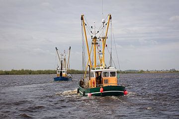 UK77 und ZK17 auf dem Lauwersmeer von Rob Boon