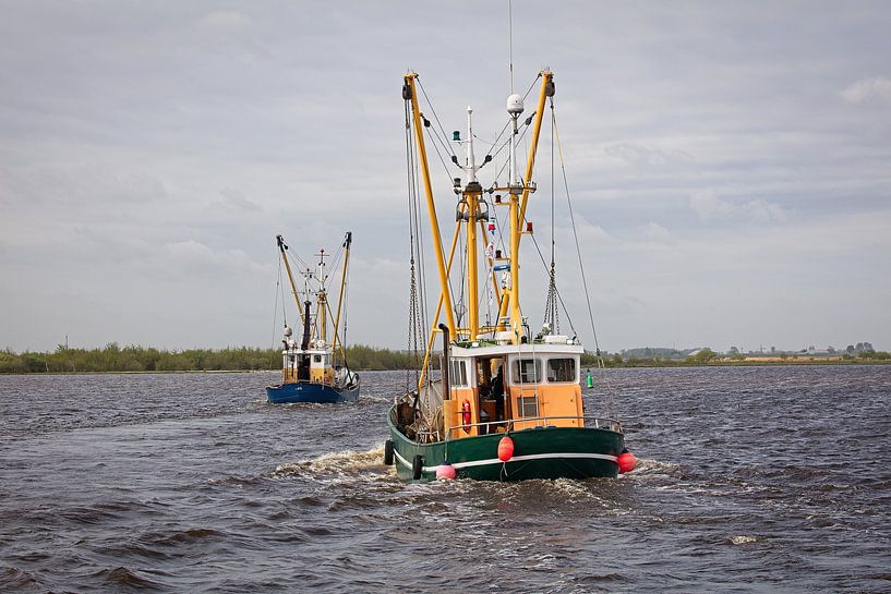 UK77 and ZK17 at Lauwersmeer by Rob Boon