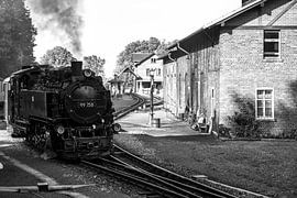 Ein Blick auf die Schmalspurbahn in Bertsdorf von Andreas Völkel