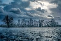 Een koude storm