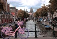 Vélo papillon rose - Street Art Amsterdam 2023