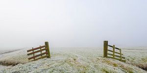 Frosty winter landscape during an early misty morning