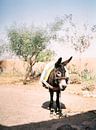 Donkey in the desert of Morocco by Raisa Zwart thumbnail
