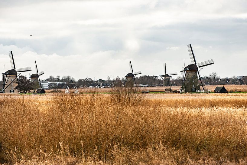 Kinderdijk von Brian Morgan