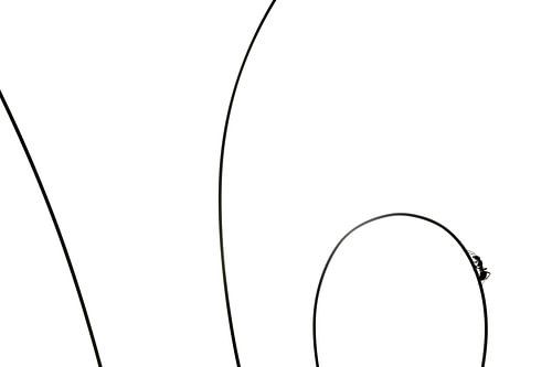 Le pouvoir du petit - Fourmi Minimaliste sur Alex Pansier