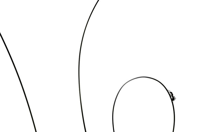 The Power of Small - Minimalist Ant by Alex Pansier
