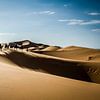 Camel caravan by Peter Vruggink