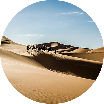 Kamelen karavaan van Peter Vruggink