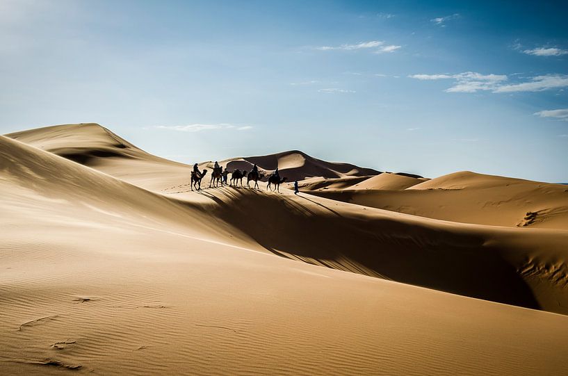 Camel caravan by Peter Vruggink