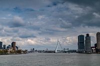 ROTTERDAM : Skyline Rotterdam